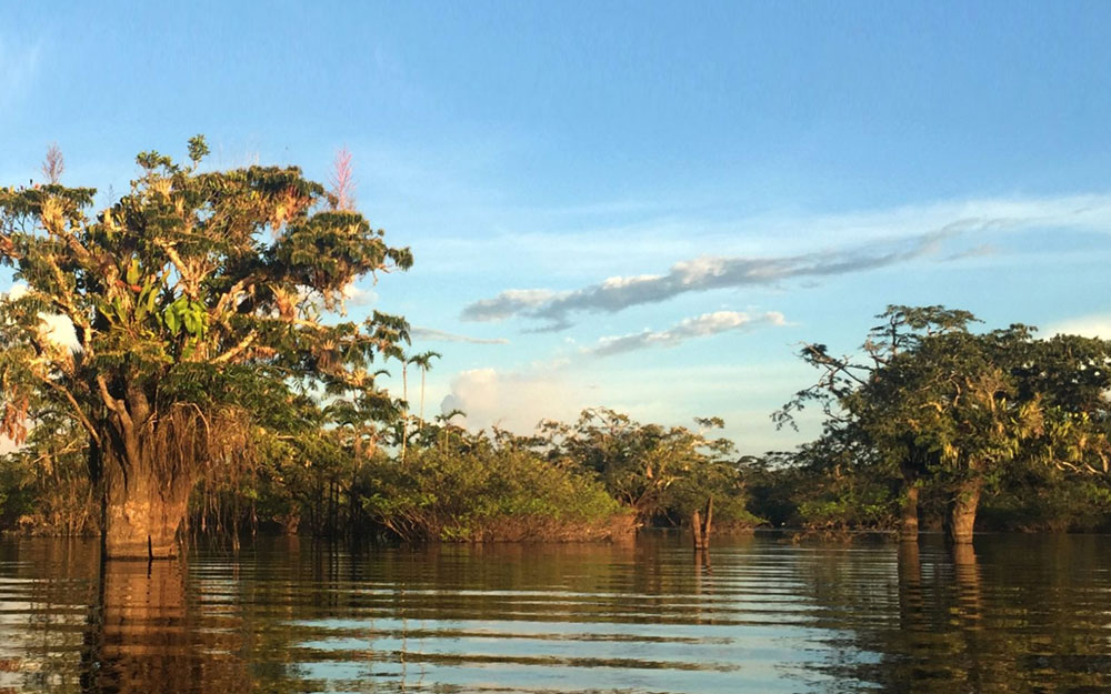 fixer-ecuador-amazonas-productoras