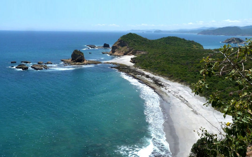 fixer-ecuador-costa-productoras