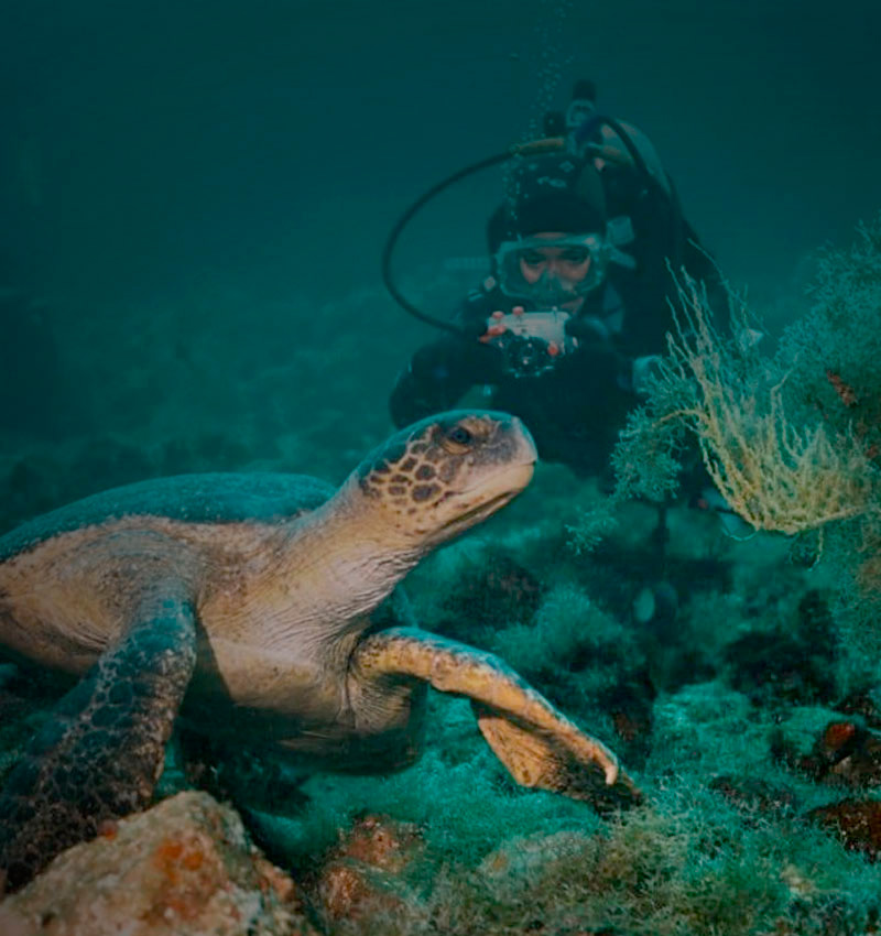 fixer-location-producer-films-galapagos ecuador