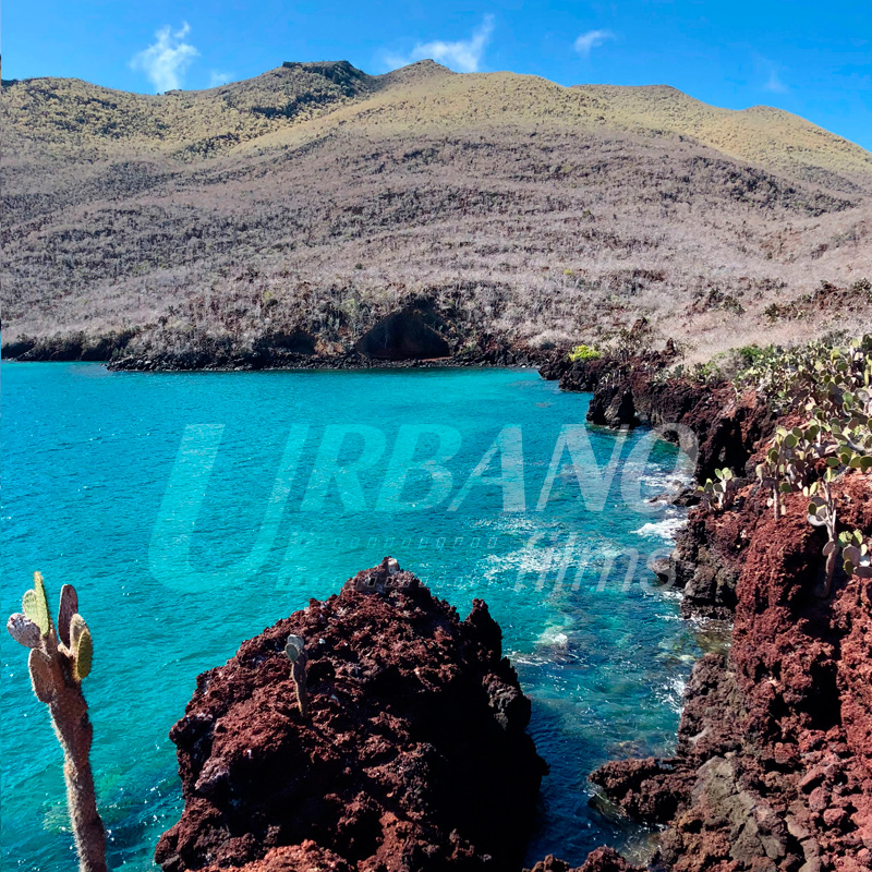 fixer & locations producer & film in galapagos islands