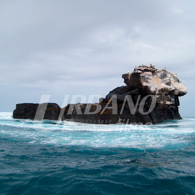 fixer & locations producer & film in galapagos islands