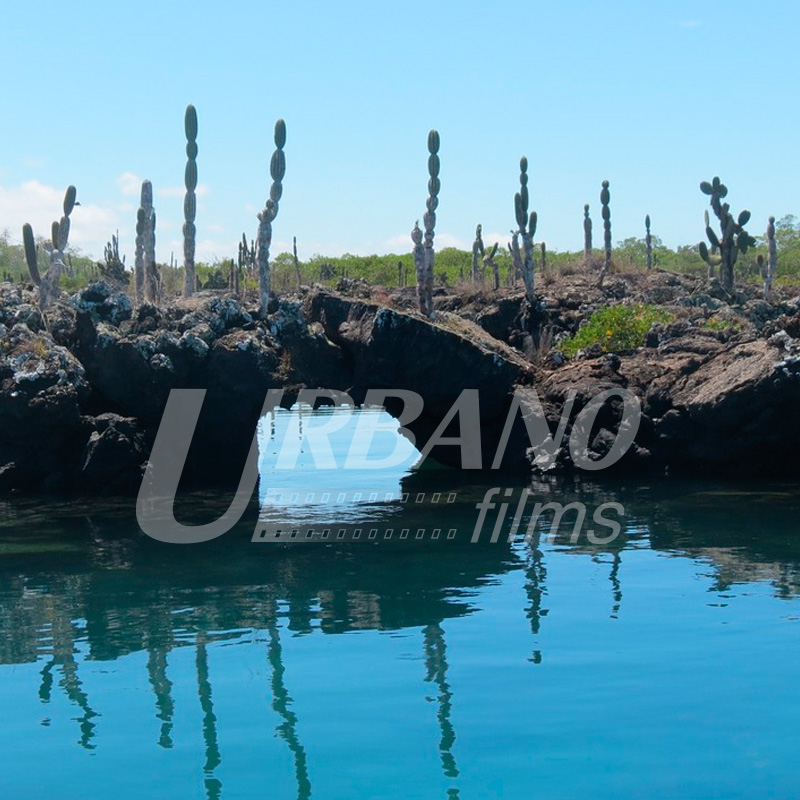 fixer & locations producer & film in galapagos islands
